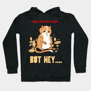 Funny get in shape cat Hoodie